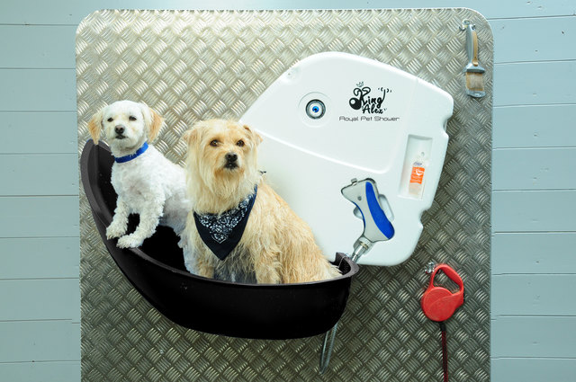 Die transportabel Hundedusche mit Warmwasser und intelligentem Duschkopf. | Foto: Bachler