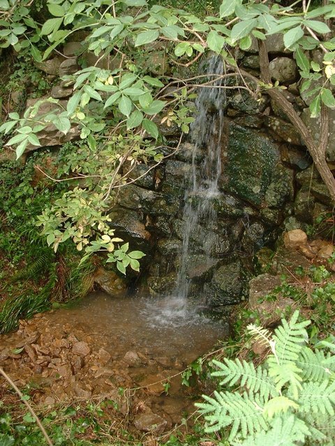 Jardin de Mas de Dag