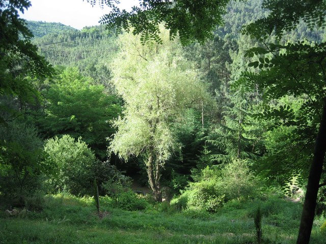 Jardin Mas de Dag