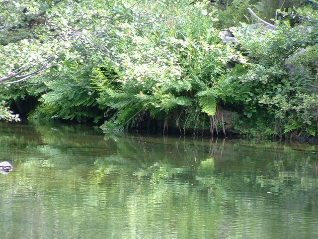 an der Luech