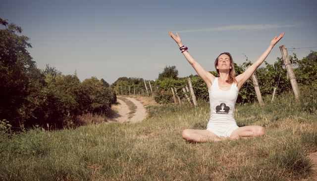 Yoga mitten in den Weinbergen ist ein einzigartiges Erlebnis. | Foto: Loisium