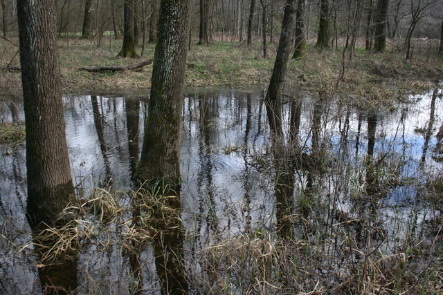Foto: Martin Wurglits