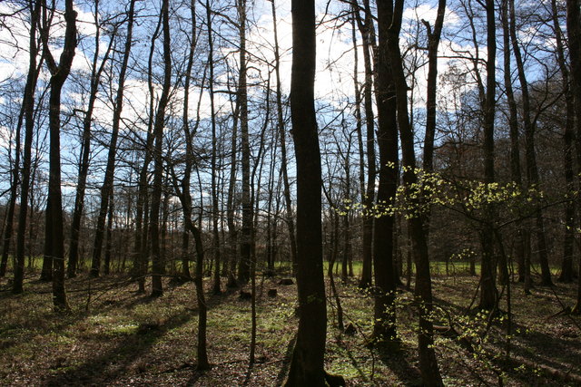 Foto: Martin Wurglits