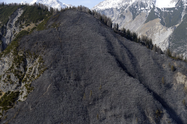 Riesige Waldflächen sind vollständig abgebrannt. | Foto: ZOOM-Tirol