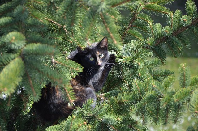 Foto: Florian Kollmann