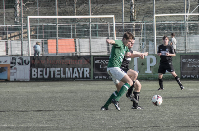 Foto: Foto: Nikolaus Haselgrübler