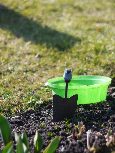 Foto: stock.xchng ID1440098