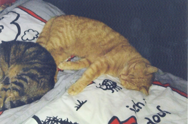 Foto: privat