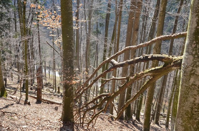 Der Winter hinterließ eine Spur der Verwüstung