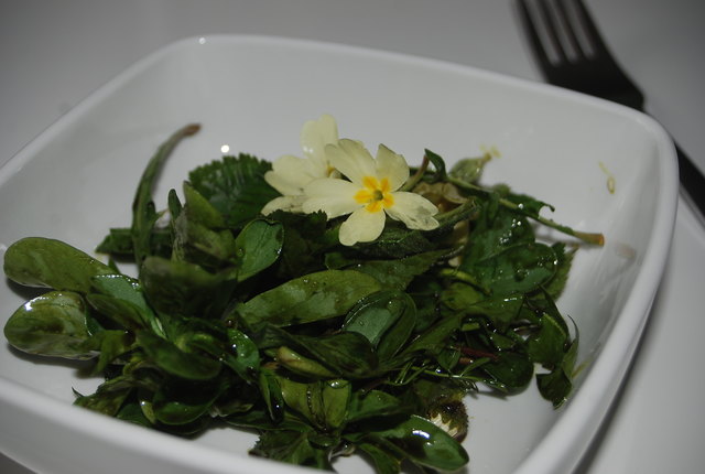 Optisch und geschmacklich ansprechend: Wildkräutersalat mit Apfelessig, Kernöl und essbarer Deko aus Blüten.