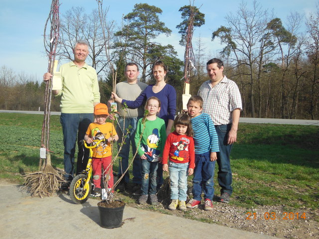 Jungbauernobmann Ernst Krininger organisierte auch heuer wieder eine Obstbaumankaufaktion. Über 100 Obstbäume und auch Sträucher wurden von den Gunskirchner Landwirten angekauft. Sie werden in Gunskirchen die Landschaft verschönern und bereichern. Beim Anpflanzen halfen auch Bürgermeister Josef Sturmair, Bauernbundobmann Karl Gruber und Petra Deisenhammer mit. | Foto: Privat