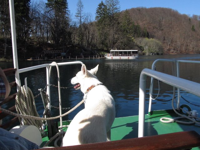 Degas bei der Schiffsüberfahrt