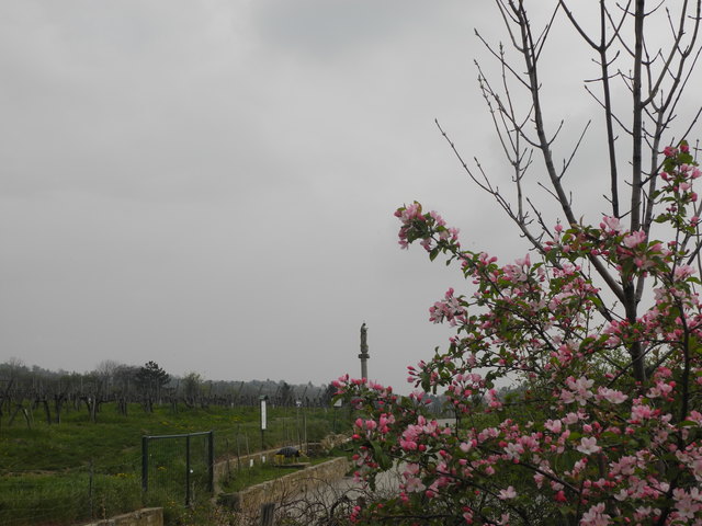 Die Mariensäule in den Neustifter Weinrieden