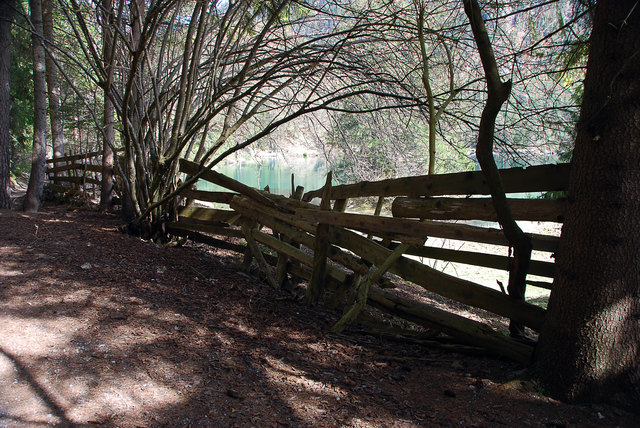 Der Zaun scheint langsam in die Jahre gekommen zu sein.