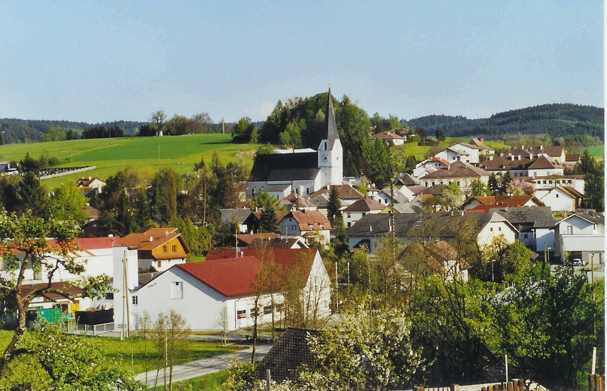 Eine gesellige Gemeinde - Ried