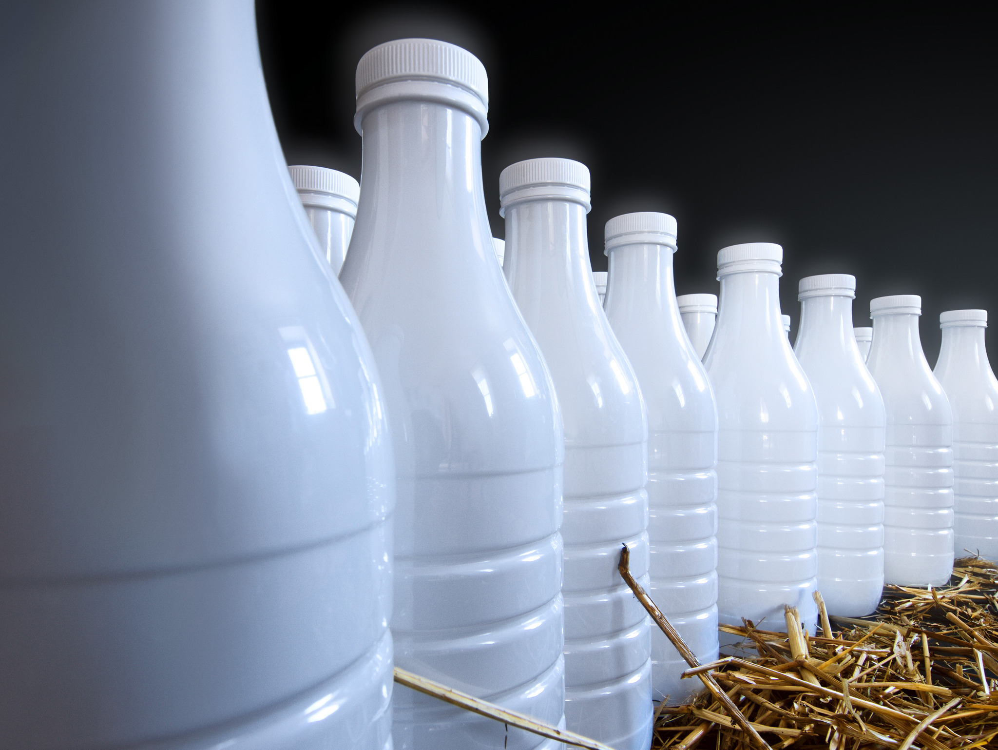 Die Geschichte der Milch Zwettl