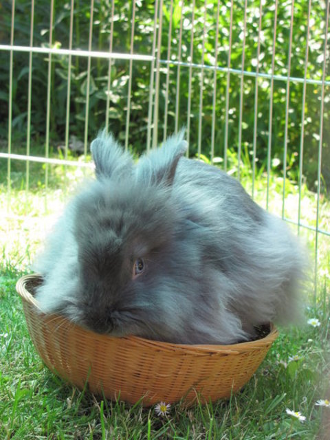 dann muss Malibu mal raus!!