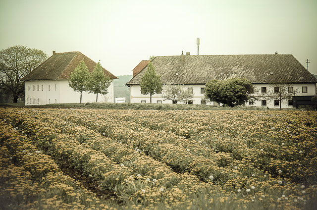 Bauernhubergut