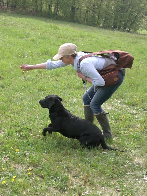 Die Hunde stellten ihre Apportierfähigkeiten unter Beweis. | Foto: Hummel