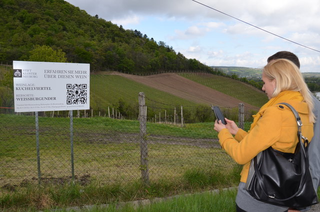 ...und dann mit dem Handy den QR-Code lesen, um aktuelle Hintergrundinfos über Wein und Weingut zu erhalten.