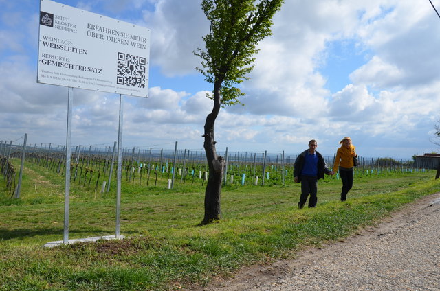 Auf dem Nussberg endet die Route. Hier steht die letzte der 25 Tafeln des Wiener Weinwanderweges.