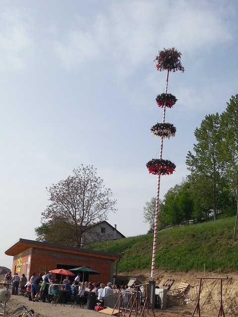 Unser Maibaum 2013 (noch auf der Baustelle)