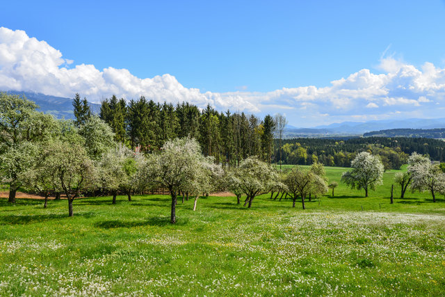 Frühjahr im schönen Lavanttal