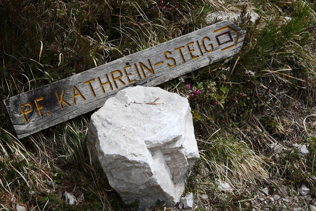 Durch Wald und Latschen führt der Pfarrer Kathrein Steig hinauf zum Gachen Blick.