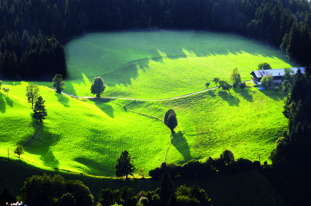 Die Bauernhäuser werden auch als Mittelflurhöfe oder Einhöfe bezeichnet. Vom Mittelflur im Erdgeschoss gelangt man direkt in den Stall und in die Tenne. 
Alles ist in einem Gebäude untergebracht. | Foto: Stefan Astner