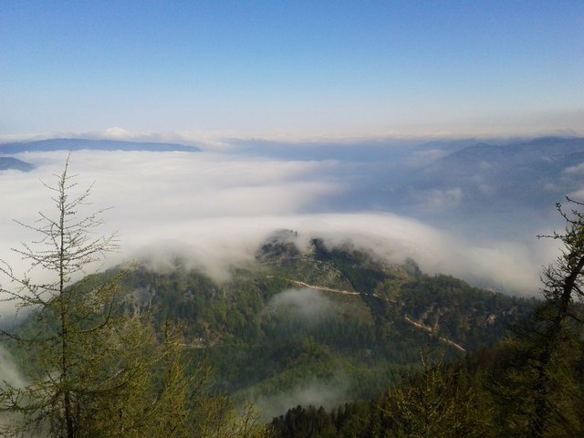Als wir heute um 8h30 von zuhause weg gefahren sind, hatten wir Nebel. Doch auf der Meisterebenalm/ Weißenbach am Attersee, war Sonnenschein. Schöne Wanderung auf 1209m.