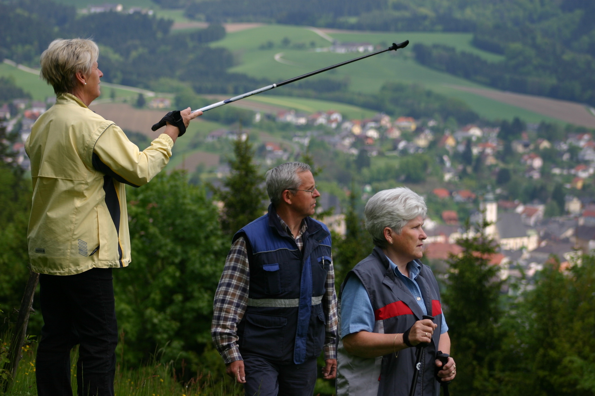 Zwei geführte Wanderungen in Grein - Perg
