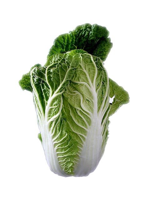 Der Cina-Kohl könnte eine der vielen Zutaten eines grünen Smoothies sein.