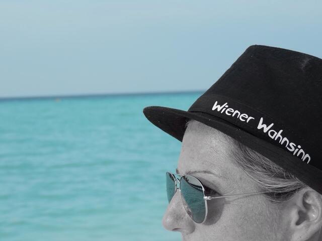 Wiener Wahnsinn und viele mehr rocken das Asperner Straßenfest!