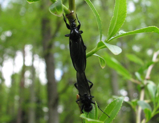 ...oder gerade doch???