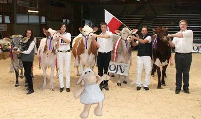 Da war was los! BLICKI war dabei – beim Bundesjungzüchter-Championat im Agrarzentrum West. Alle Infos auf: http://www.meinbezirk.at/imst/wirtschaft/jungzuechter-lockten-zahlreiche-besucher-nach-imst-d887147.html | Foto: Moser