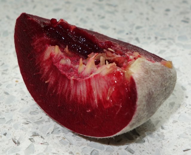 Purpurpfirsich, alte ungarische Sorte