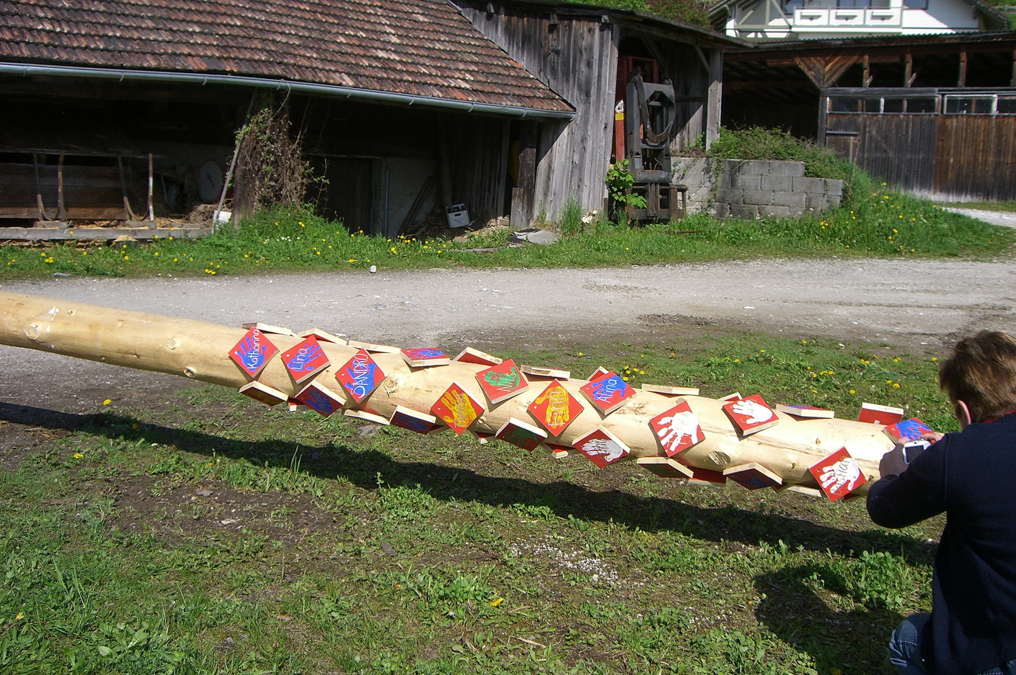 Ein Maibaum für den Kindergarten - Liezen