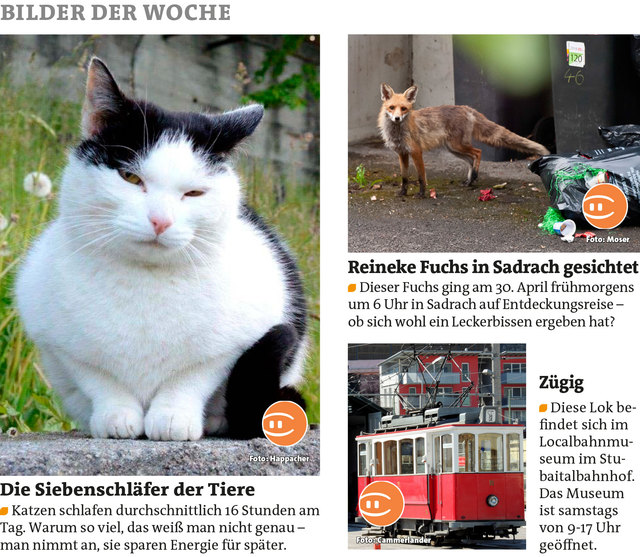 Stadtblatt Innsbruck + Bezirksblätter Hall-Rum KW19 Petra Happacher - Moser - Gerhard Cammerlander