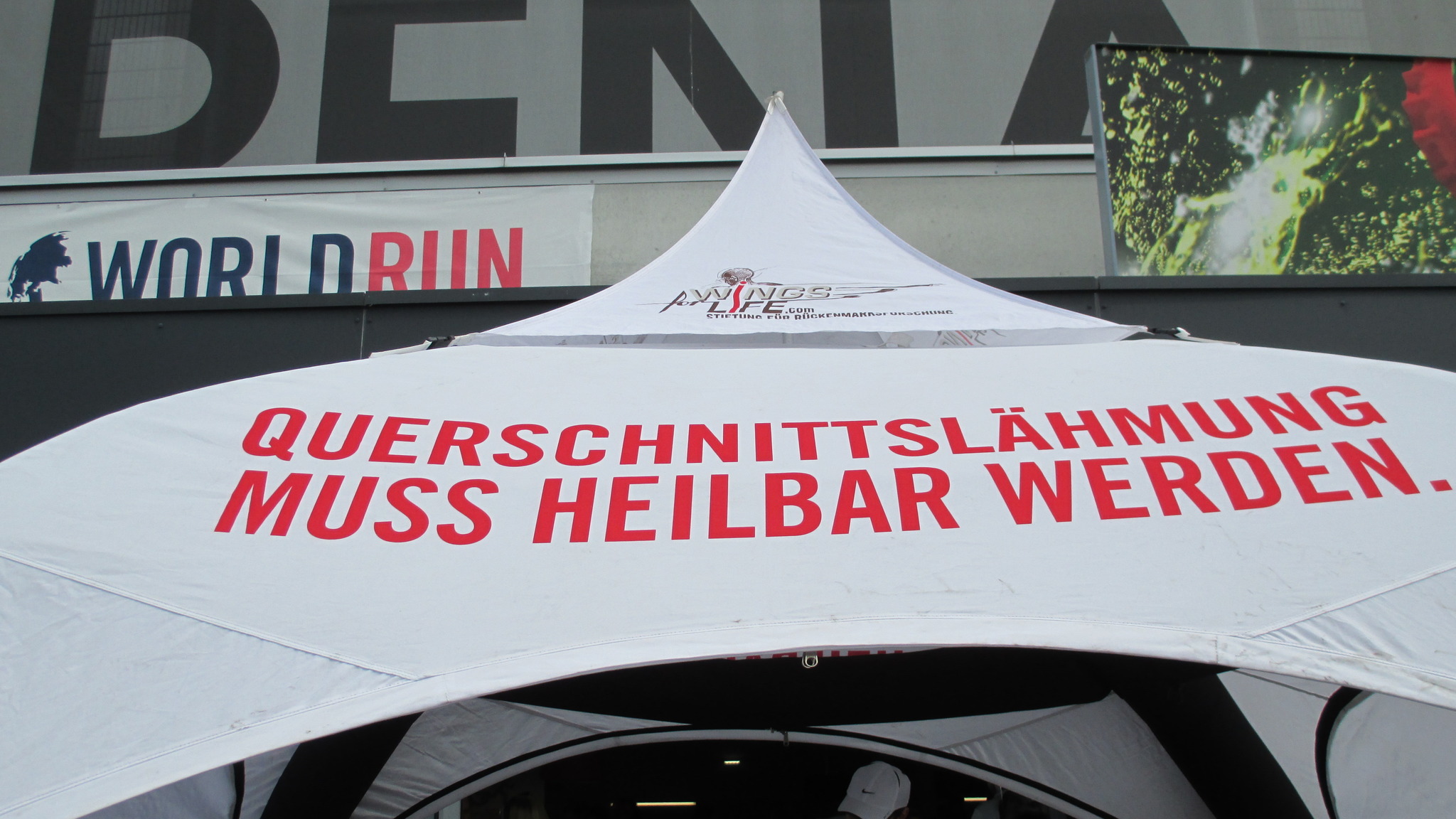 Wings for Life World Run und ich war dabei! Graz