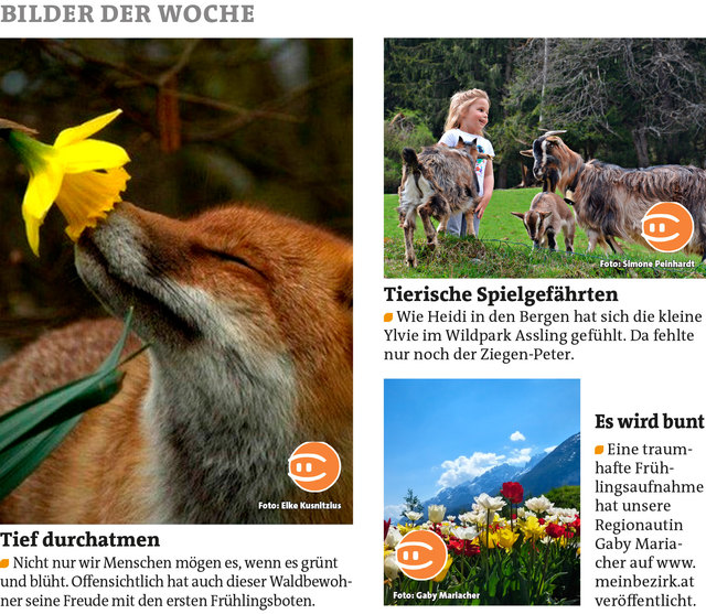 Bezirksblätter Osttirol KW19 Elke Kusnitzius - Simone Peinhardt - Gaby Mariacher