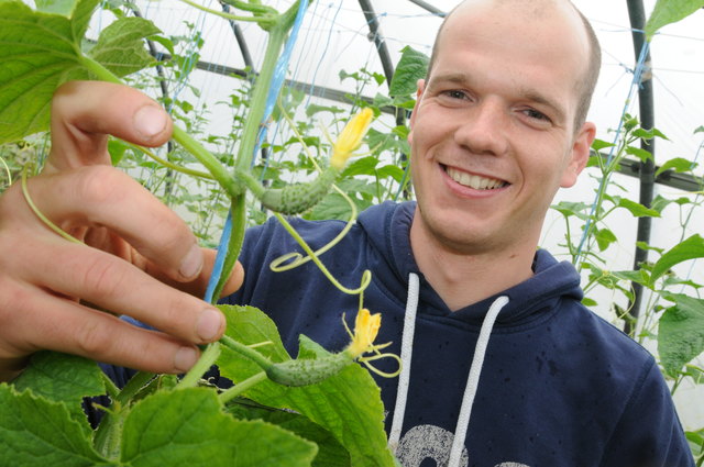 Martin Brötzner zeigt, wie seine Snackgurken schön langsam wachsen.