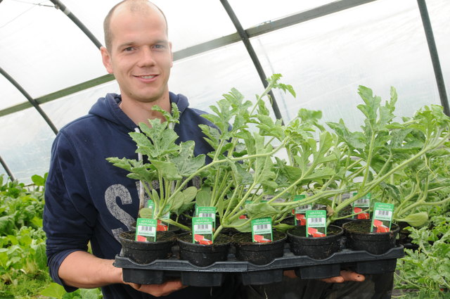 Sogar Wassermelonenjungpflanzen gibt es derzeit. "Man muss sie an eine sonnige Stelle setzen und bis Herbst warten – aber dann gibt es schöne fußballgroße Melonen", verrät Martin Brötzner. Die Melonen gibt es im Herbst auch direkt ab Hof beim "Kracherbauer" in Wals-Viehausen.
