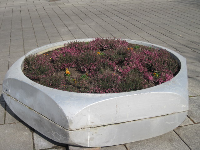 Nettes Blumenbeet vor dem Amtshaus in Floridsdorf Am Spitz.