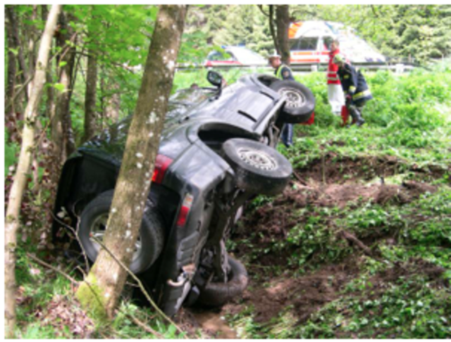 Die Feuerwehr musste das Auto bergen. | Foto: Foto: FF