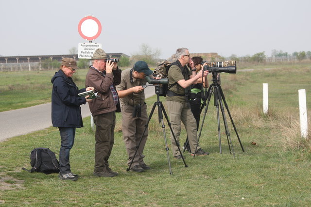 Abstand halten! Die Tiere dürfen beim Fotografieren nicht gestört werden. | Foto: Nationalpark Neusiedler See Seewinkel