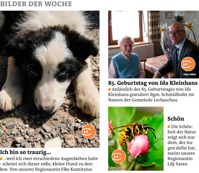 Bezirksblätter Reutte KW20 Elke Kusnitzius - Lily SaranLink zum Beitrag von Werner Höck: http://www.meinbezirk.at/935390