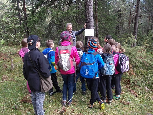 DI Peter Winkler, irksforstinspektion, in seinem Element | Foto: Foto: VS Nassereith
