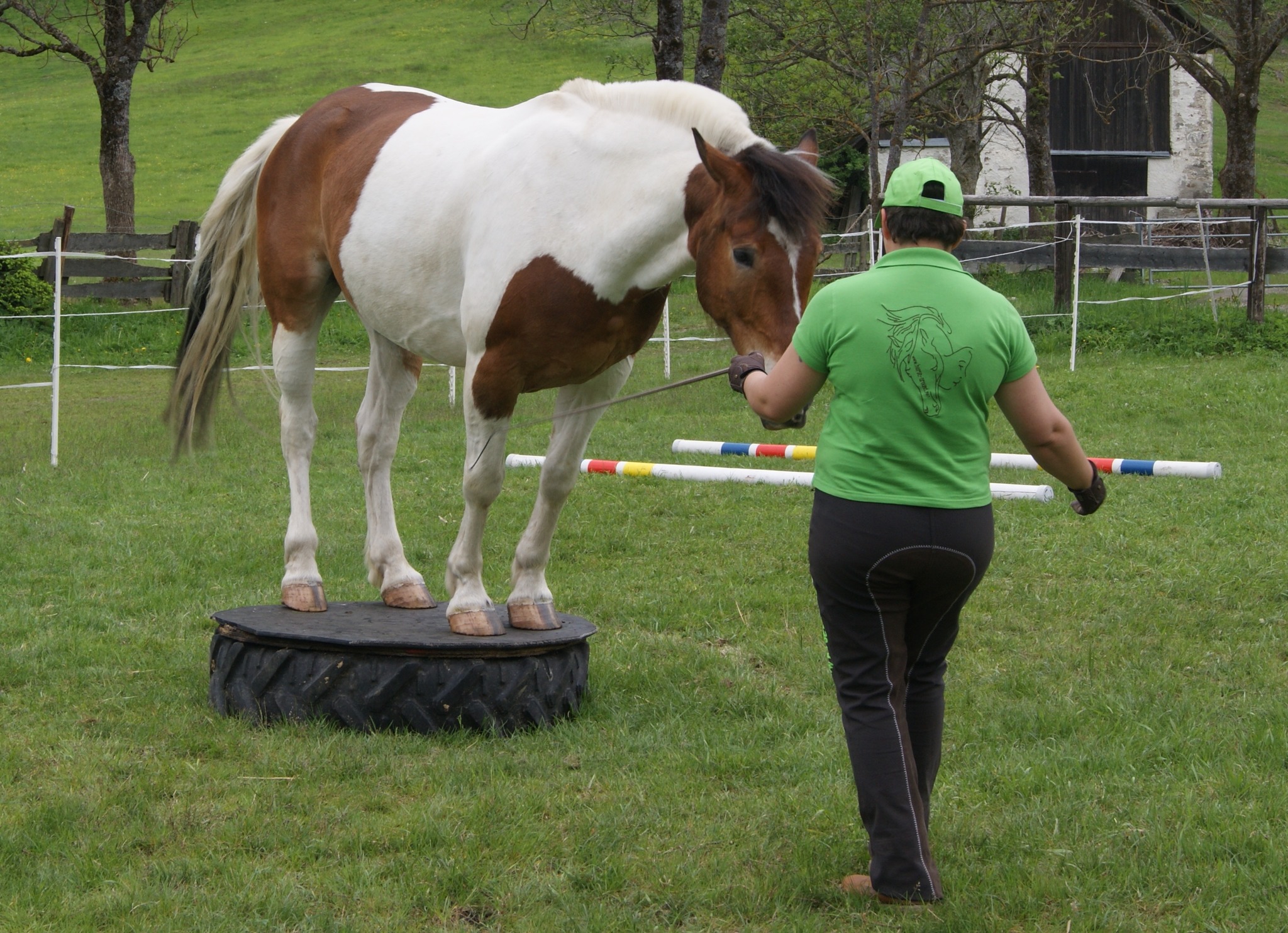 Auf Dem Rücken Der Pferde Sprüche