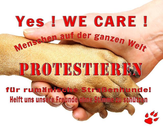 (c) Protestmarsch YWC
