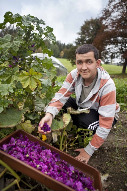 Unter anderem wird im AufBauWerk Bad Häring auch das Praxismodul Gartenbau angeboten.